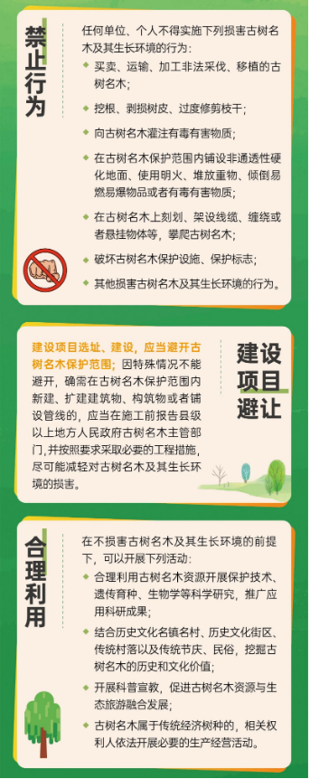 李忠勇｜为古树名木保护提供有力法治保障