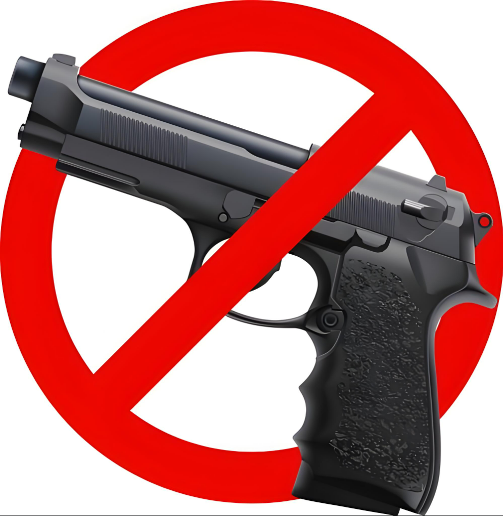 海南省五指山市法院公开宣判一起非法制造枪支案